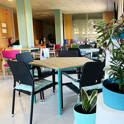 galeria-salon